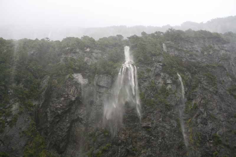 Nieuw-Zeeland 2011 - 1696